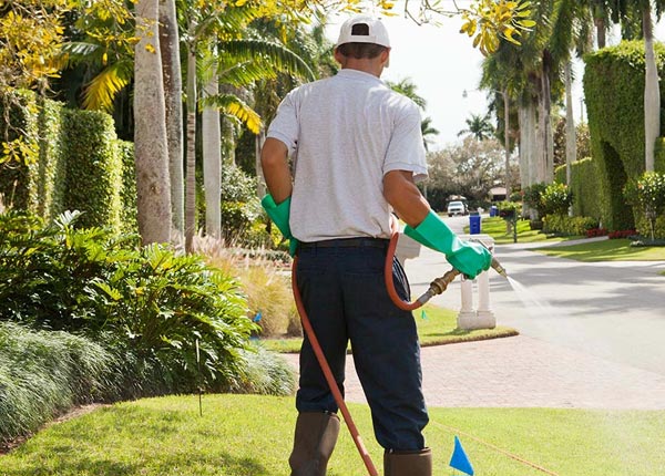 About Dexter MN Pest Control